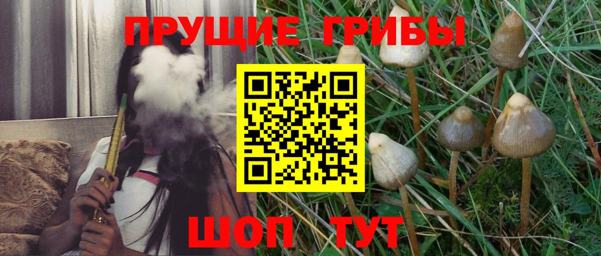 Псилоцибиновые грибы GOLDEN TEACHER Серпухов